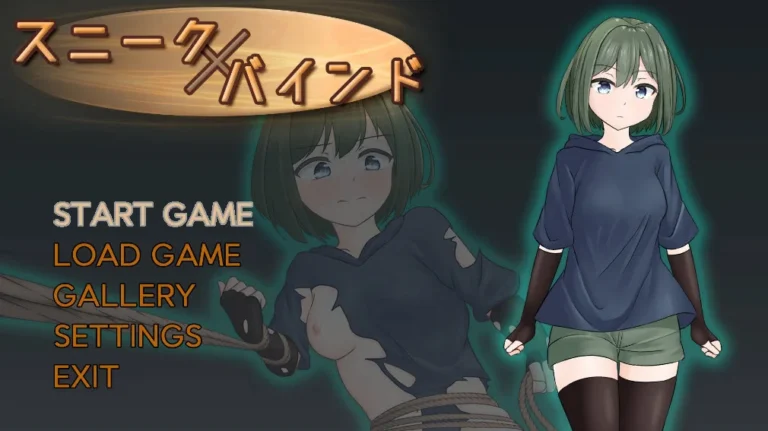 How To Run & Play Japanese Adult Games